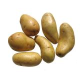 Frühkartoffeln Linda fk