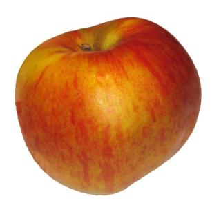 Apfel Topaz