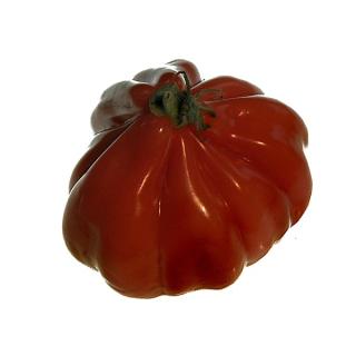 Tomaten schwarz Ebeno