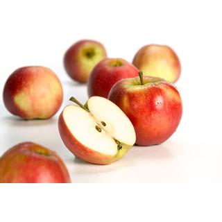 Apfel roter Altländer