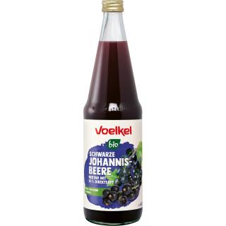Schwarze Johannisbeere Nektar