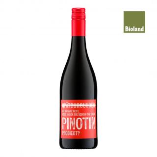 Galler Piwi Pinotin QbA trocken