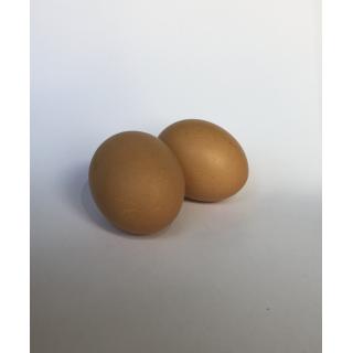 Eier