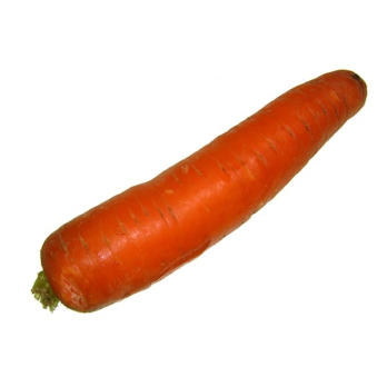 Möhren gew.