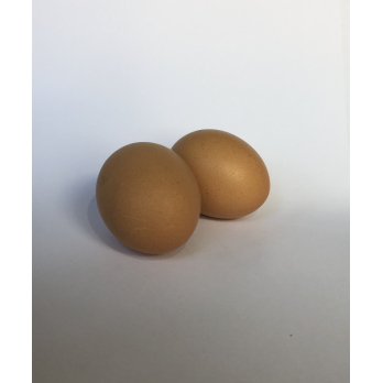 Eier