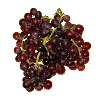 Trauben rot kernlos