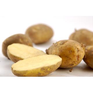 Kartoffel  fest kochend 2kg