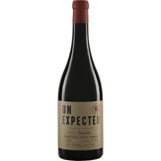 UNEXPECTED Garnacha Tinto Pago Aylés