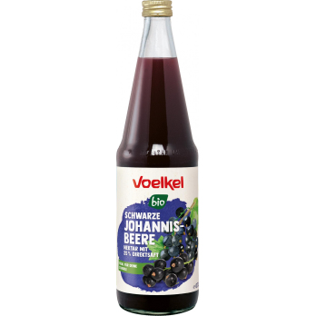 Schwarze Johannisbeere Nektar