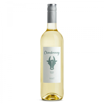 Chardonnay weiß